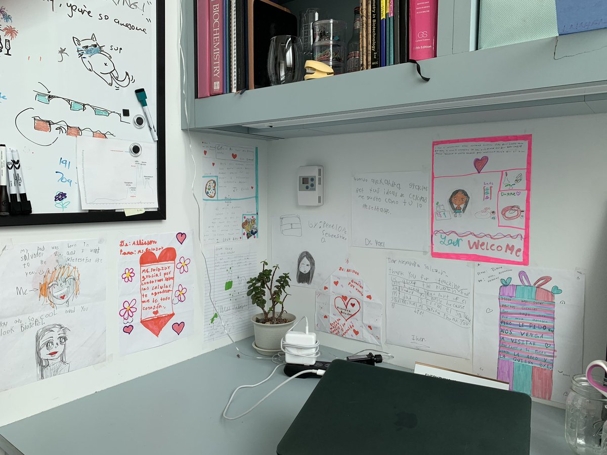 alexxsaladbar's tweet photo. Started my Monday by decorating my desk with letters from @paulkantz awesome 3rd grade class!! 🤩💓 So thankful I had the opportunity to meet them and teach them about cells, proteins, and share my love of microscopy 🔬❄️🥹 https://t.co/qW145Pz5kx