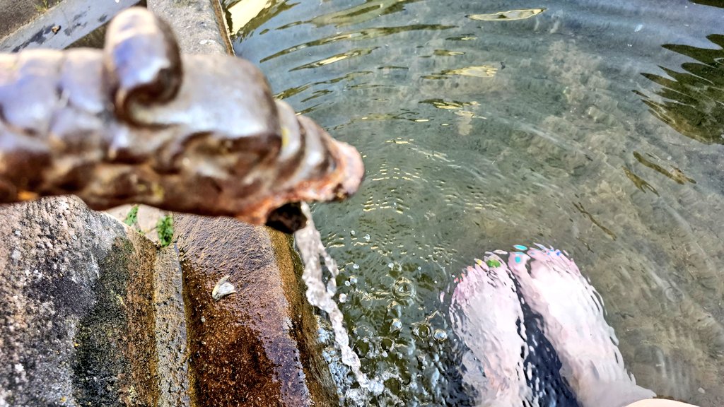 heikeontour's tweet photo. Feierabendspaziergangserholung
Sportdehnungen mit Flurfreund am Weinberg ✔️
Barfußspaziergang nach Hause ✔️
Fußkühlung im festinstallierten Planschbecken ✔️
I call it a day.
I call it a good day.
#icallitaday #Feierabend #trier #barefoot #relax #healthcare #Happiness #GoodVibes https://t.co/NwE4oCx018