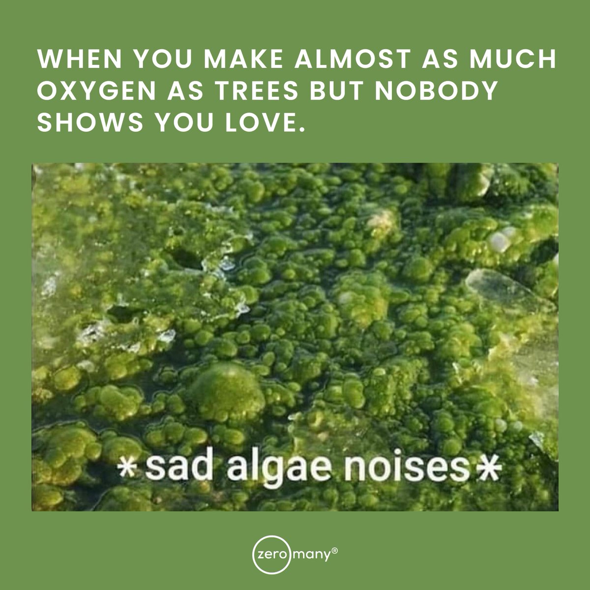 When you get no love, but you're still a key player in the ecosystem 🌊🌎 #EcoSystemGoals #UnsungHero
•
•
•
#ecomeme #greenliving  #climateawareness #climatechange #zerowasteliving #sustainableiving #relatable #ecowarrior #ethicalbrands #recycle #recycleplastic #recyclereuse