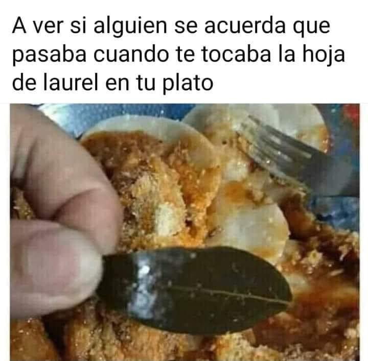 karina narvaez tweet media