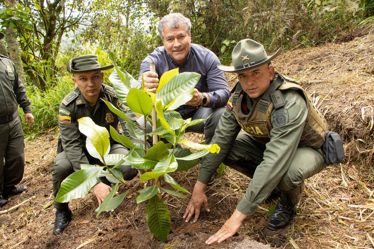 cornare's tweet photo. Hoy en el Día Mundial del Medio Ambiente estuvimos en una siembra de especies nativas que están en peligro crítico. Nos acompañó @COL_EJERCITO @CarabinerosCol @PoliciaColombia https://t.co/iV7BMb7AZT