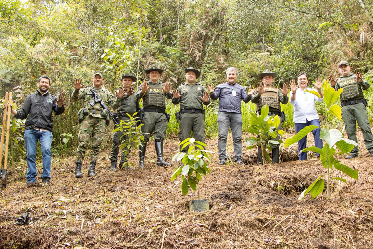 cornare's tweet photo. Hoy en el Día Mundial del Medio Ambiente estuvimos en una siembra de especies nativas que están en peligro crítico. Nos acompañó @COL_EJERCITO @CarabinerosCol @PoliciaColombia https://t.co/iV7BMb7AZT