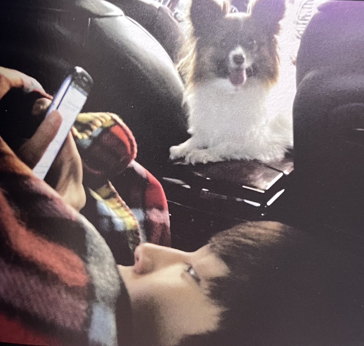 taeyong pics tweet media