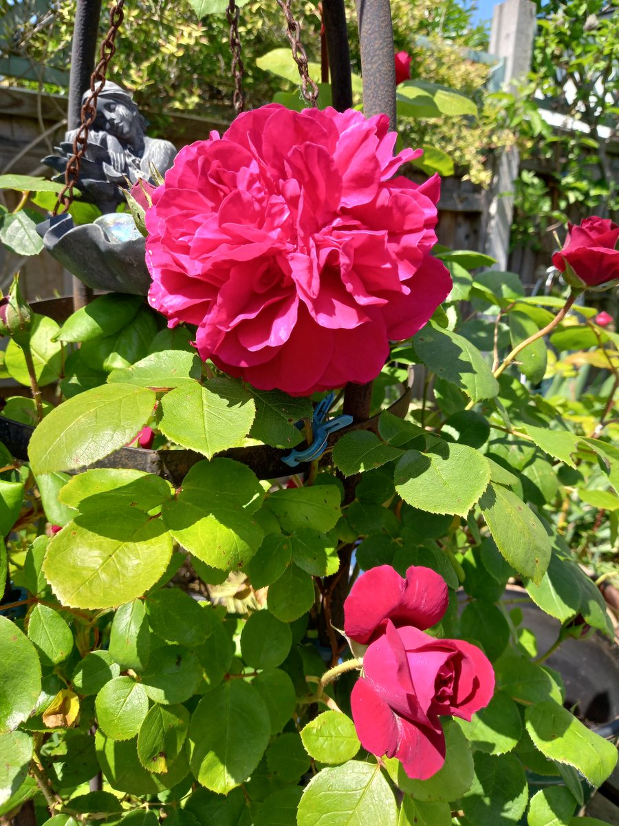 Lisa Conway tweet media