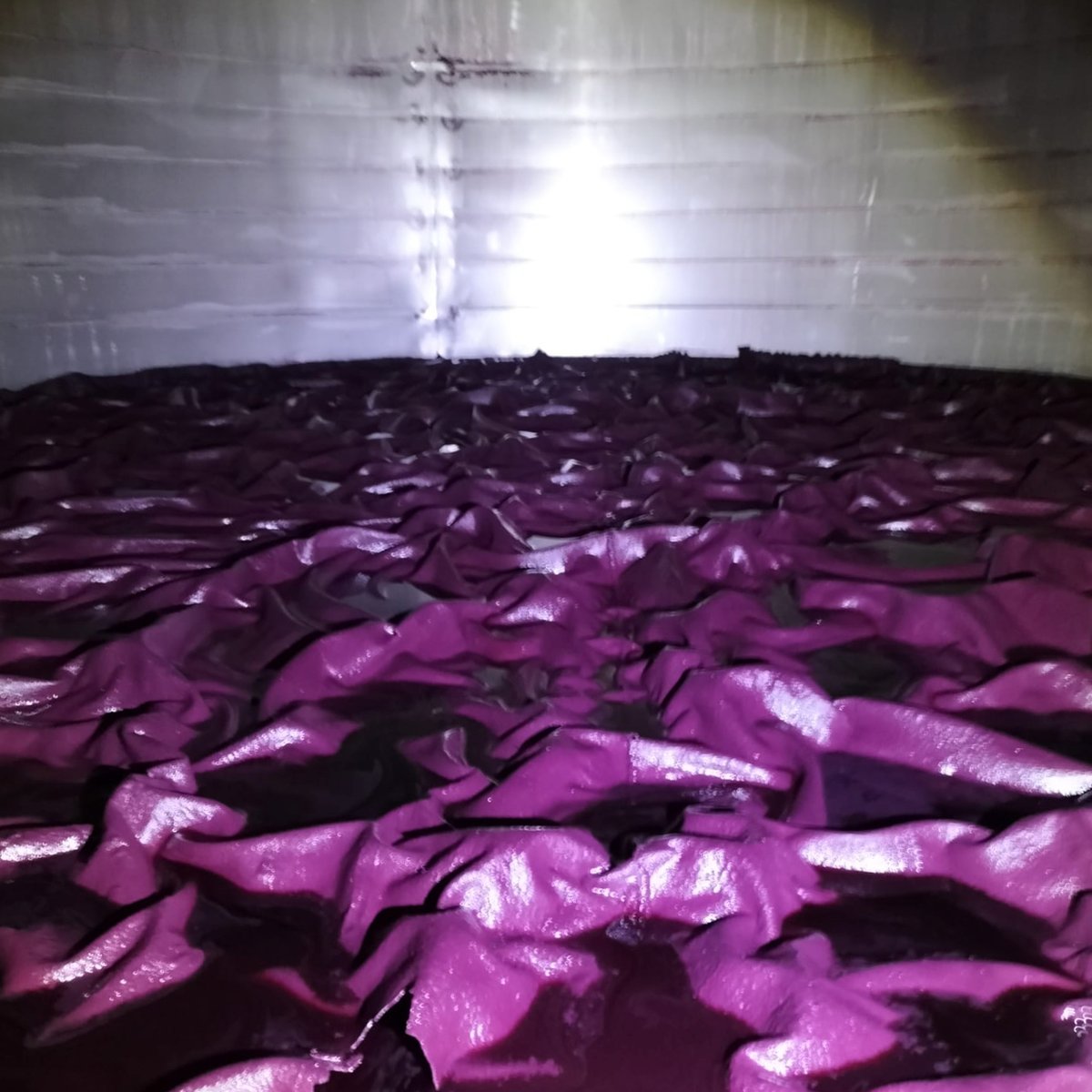 Lo que queda en el fondo de un deposito de vino tinto que acaba de pasar a barrica. Esas "montañas" son lias y sales de potasio principalmente, teñidas por la materia colorante del vino. Son preciosas 😍
#vino #wine #winelover #enologia #winemaking #lias #lees