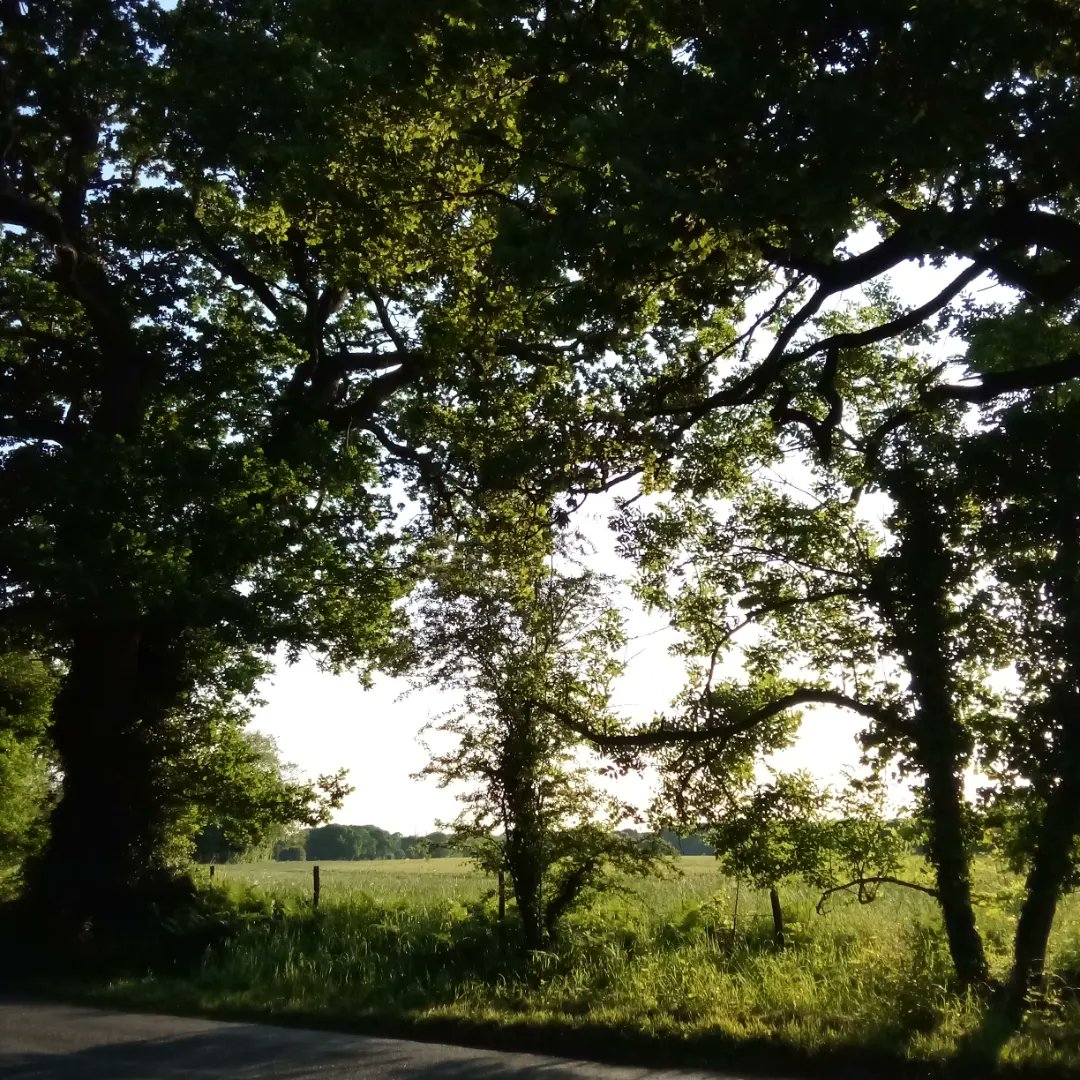 RollingBeachHut's tweet photo. Never far from a road side cafe, just pull over &amp; cook. I've got a week to kill before a dental appointment so I'm hitting the road again, taking you to Hayling, Selsey &amp; Goodwood. https://t.co/DXSdECjWgl