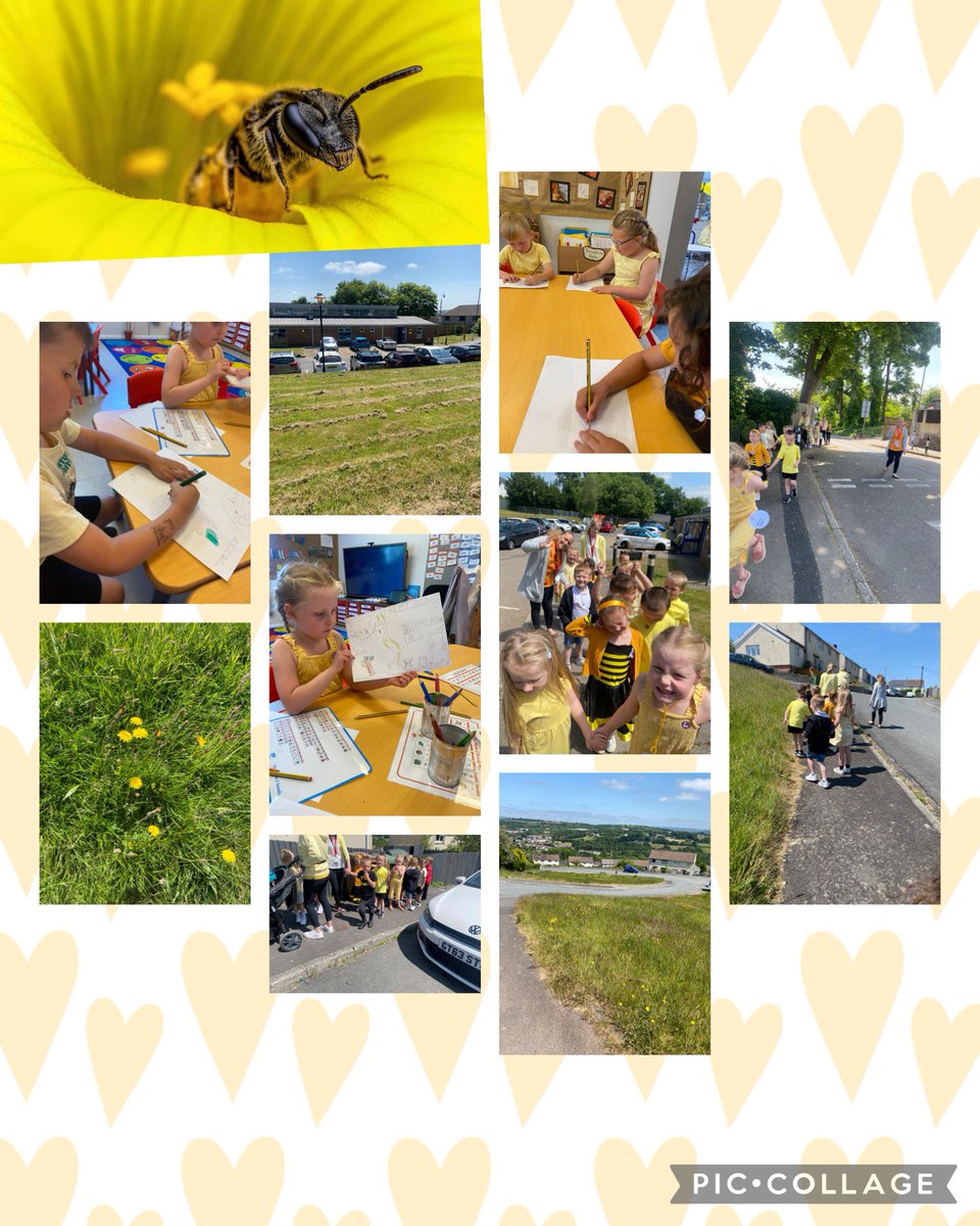 Bee utiful busy start to our summer with a lovely visit from Ken- a Beekeeper. He taught us lots and we saw the equipment he uses. 
Amazing home school task too! We walked to Cariad Bee House and mapped our route! <a href="/EAS_EarlyYears/">EAS Early Years</a> <a href="/EAS_STEM/">EAS STEM</a>
