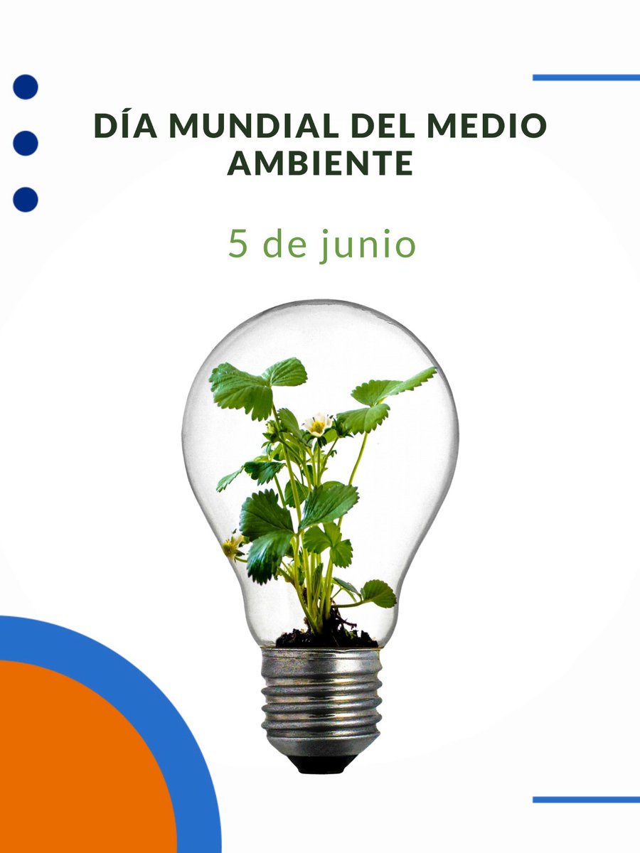 Las Naciones Unidas designaron el 5 de junio como Día Mundial del Medio Ambiente para destacar que la protección y la salud del medio ambiente es una cuestión importante, que afecta al bienestar de los pueblos y al desarrollo económico en todo el mundo.
