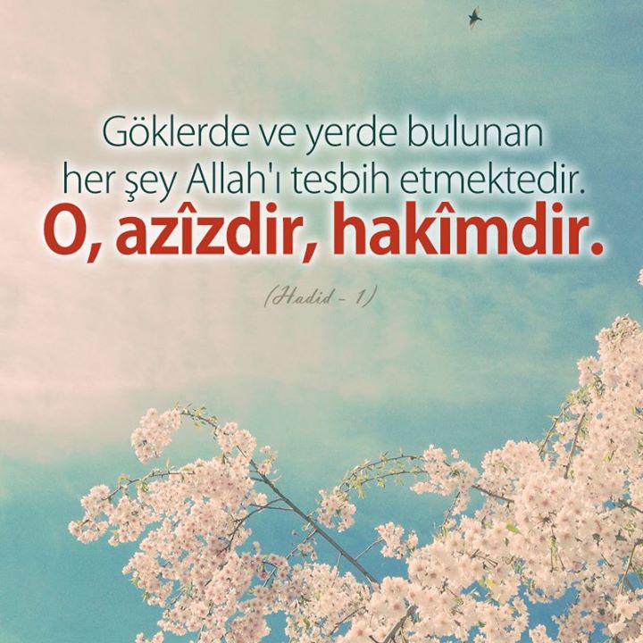 Göklerde ve yerde bulunan her şey Allah'ı tesbih etmektedir. O, azîzdir, hakîmdir. (Hadid - 1)