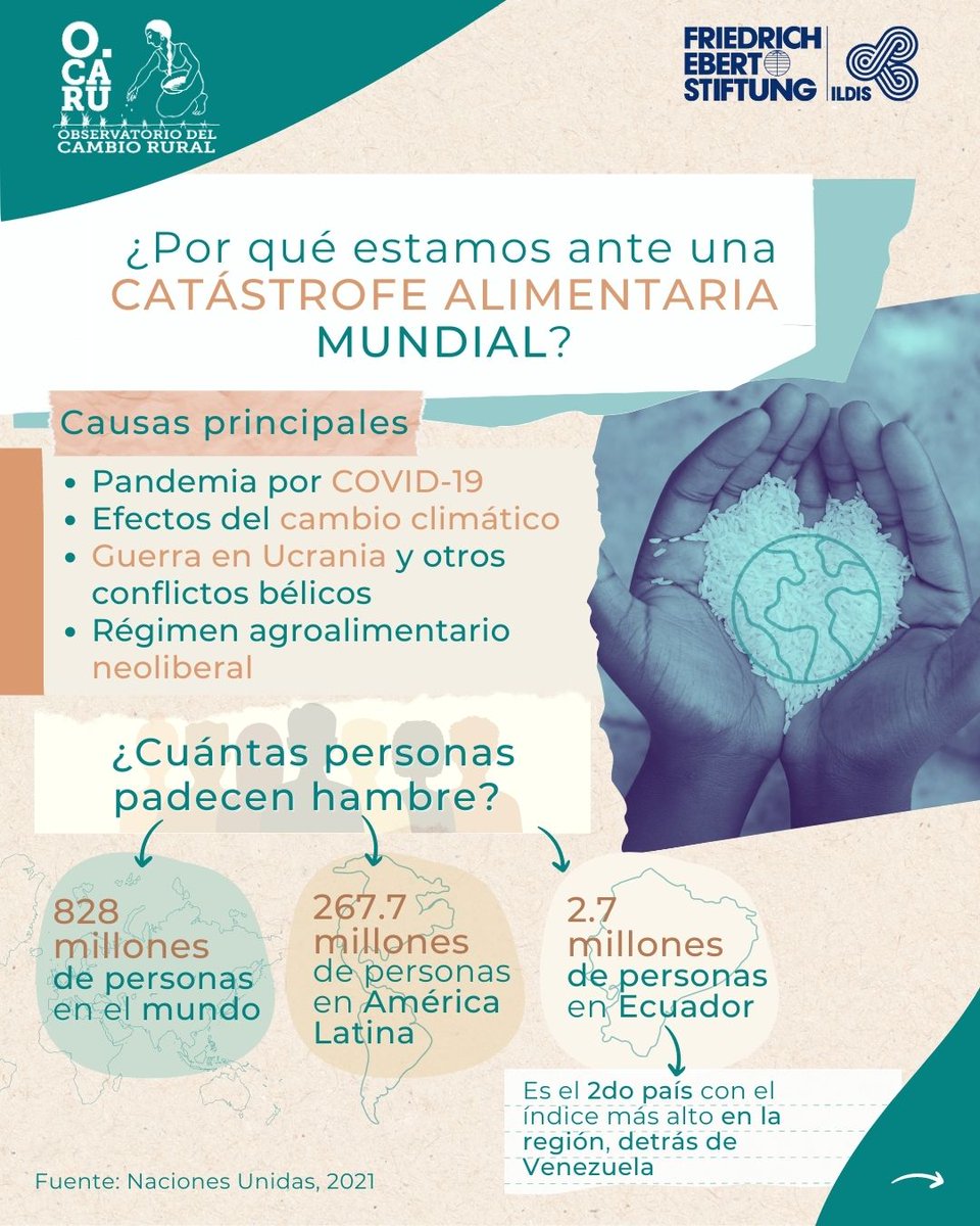 OCARUEc's tweet photo. 🌍🌾El mundo está debatiendo qué hacer frente a la catástrofe alimentaria.
⚡En medio de esta crisis, surge una pregunta: ¿qué rol juegan las agriculturas familiares?🌱
🔎Te invitamos a descargar "Repensando las agriculturas familiares en el Sur Global.
👉https://t.co/P4bZMskFVg https://t.co/3xwpajDumP