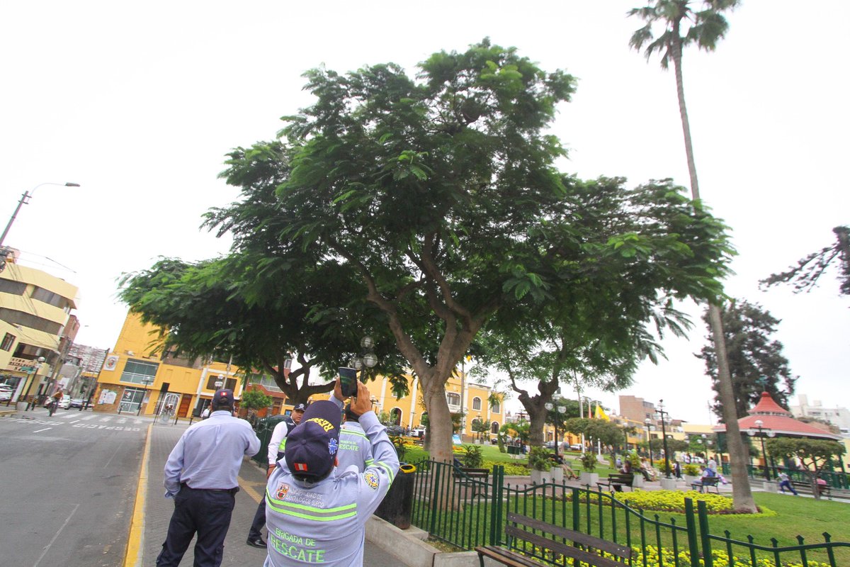 Municipalidad de Santiago de Surco tweet media