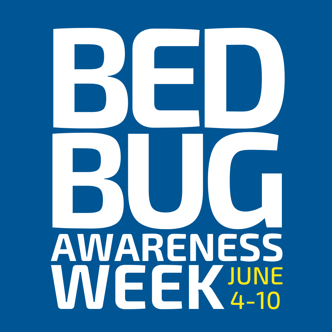 bigbluebug's tweet photo. It's #BedBugAwarenessWeek, and we're here to educate homeowners across New England on the dangers of these elusive pests. The best way to prevent an infestation is to learn the warning signs. Check it out: https://t.co/PA4u3hE2wJ https://t.co/mrpPsEWyeI
