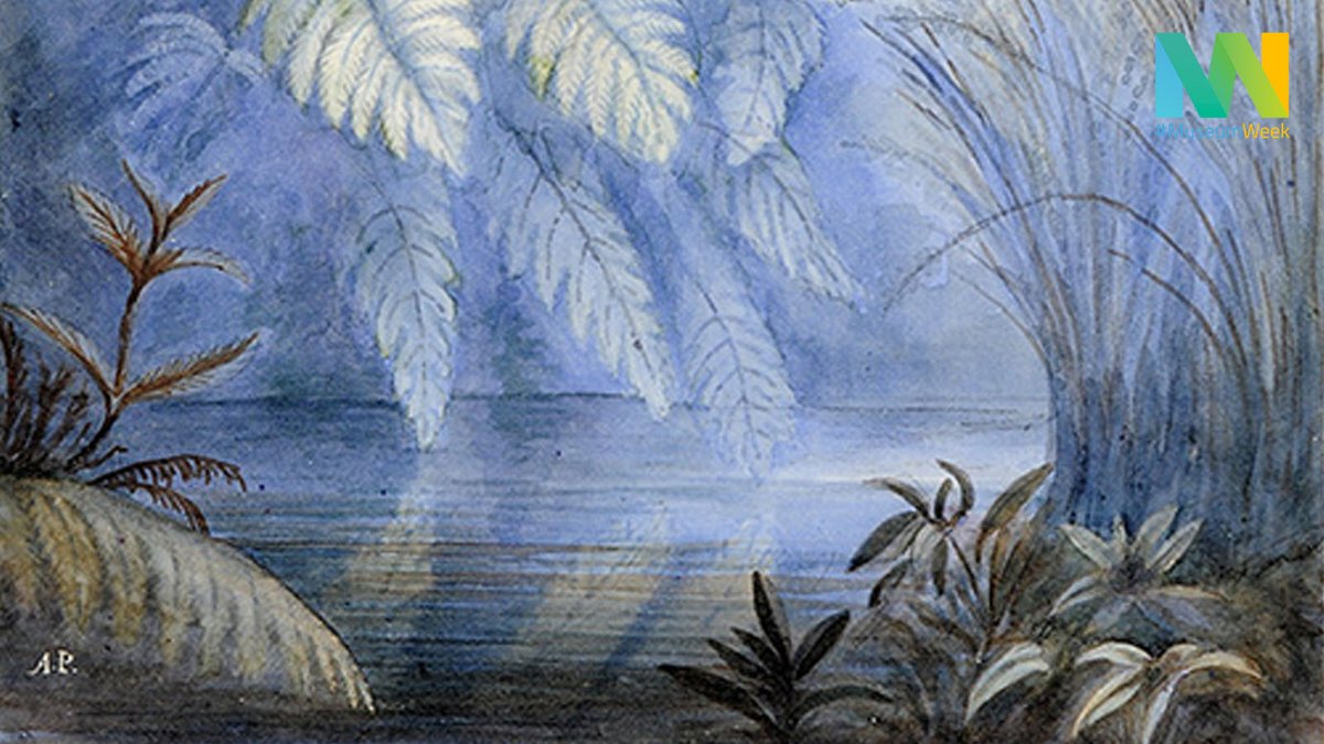 mhnchile's tweet photo. Comenzamos #museumweek2023 con el tema #MedioAmbienteMW destacando dos obras de Pedro José Amado Pissis (geólogo francés).
Compartimos las acuarelas para destacar la importancia de preservar el planeta y nuestro Medio Ambiente. ¡Únete al movimiento! #MuseumweekLatam https://t.co/CZZc4yqbOH