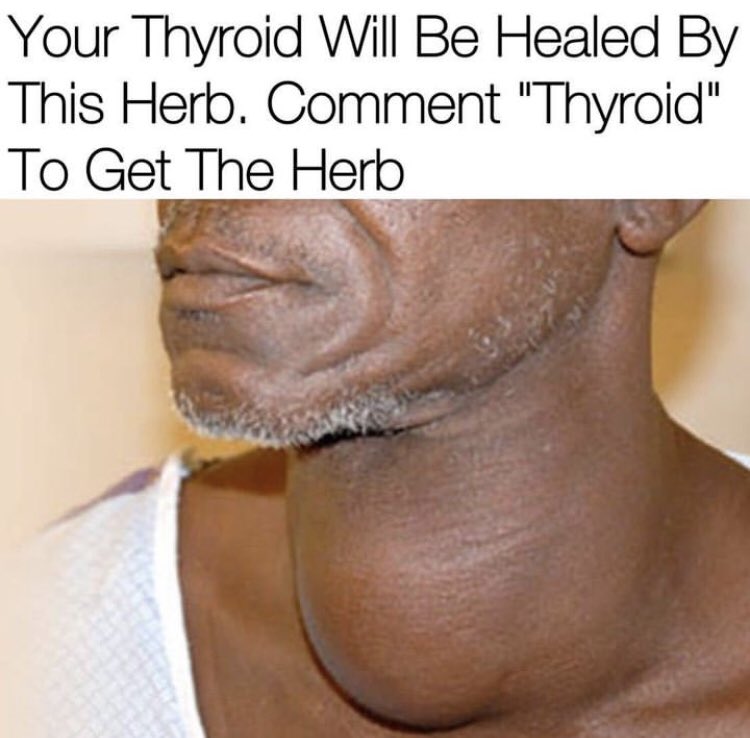 drlaguda's tweet photo. I have a lot of protocols for GUT Cleanse, Herpes, HIV, HPV, Cancer, Diabetes, Fibroids, Tinnitus, Infertility. #thyroid #herpescure #hpvcure #foodismedicine #usa #toronto #NewYorkCity #herbs #naturalremedy #Atlanta https://t.co/9wl3v7o06W