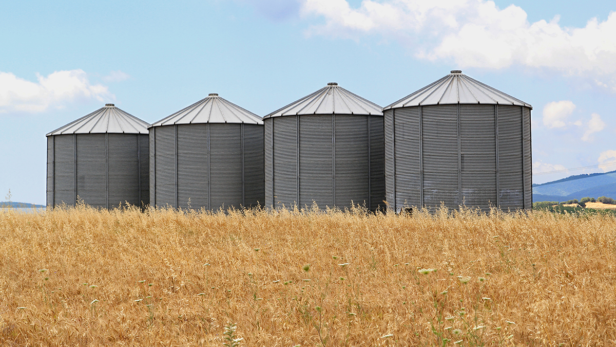 Canadian Grain Commission tweet media