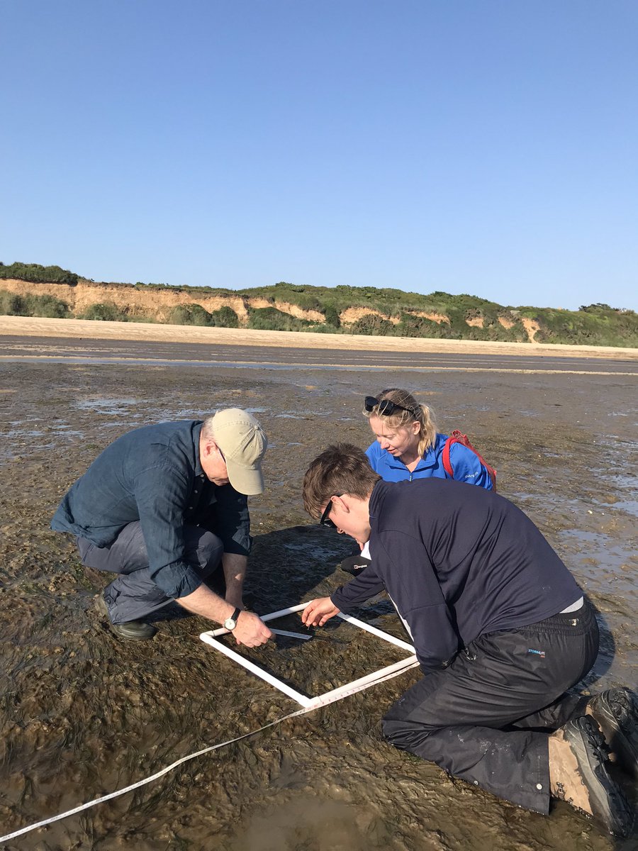 Another fantastic evening training 10 more of our Solent Seagrass Champion volunteers how to survey #seagrass following @SeagrassWatch methodology on the Hampshire coastline 🌊🌱
A great way to celebrate #NationalVolunteersWeek 
@HantsIWWildlife @Psammonaut