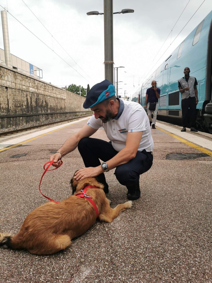 Lors des sauvetages en train nous pouvons toujours compter sur la bienveillance des agents en Gare et à bord des trains @OUIGO ♥️🫶🏼