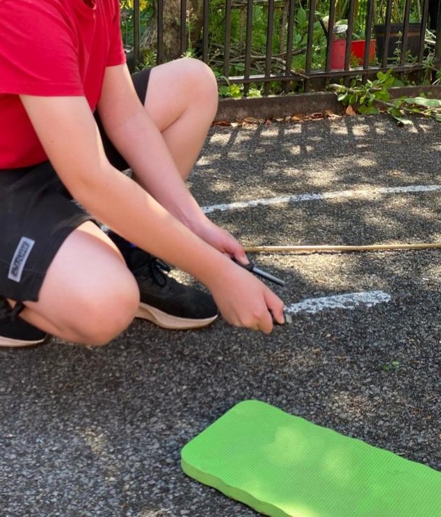 Howick Primary School tweet media