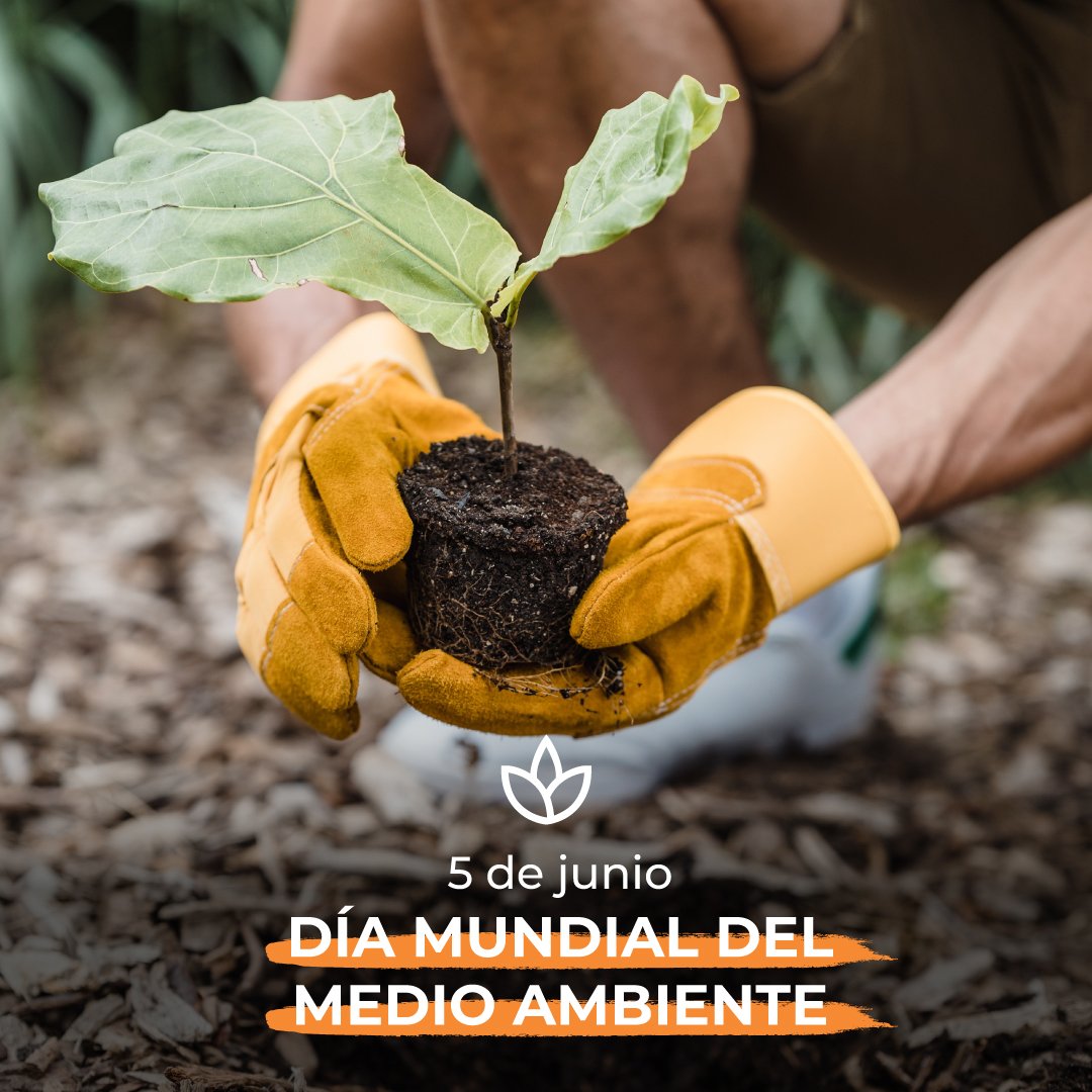 danielscioli's tweet photo. Para que haya justicia social tiene que haber justicia ambiental. Es fundamental alcanzar un amplio compromiso social y político con el desarrollo sustentable, que incluya a todos en un medio más sano y cuide nuestros recursos naturales estratégicos.

#DíaMundialDelAmbiente https://t.co/ck9VVcP7yT