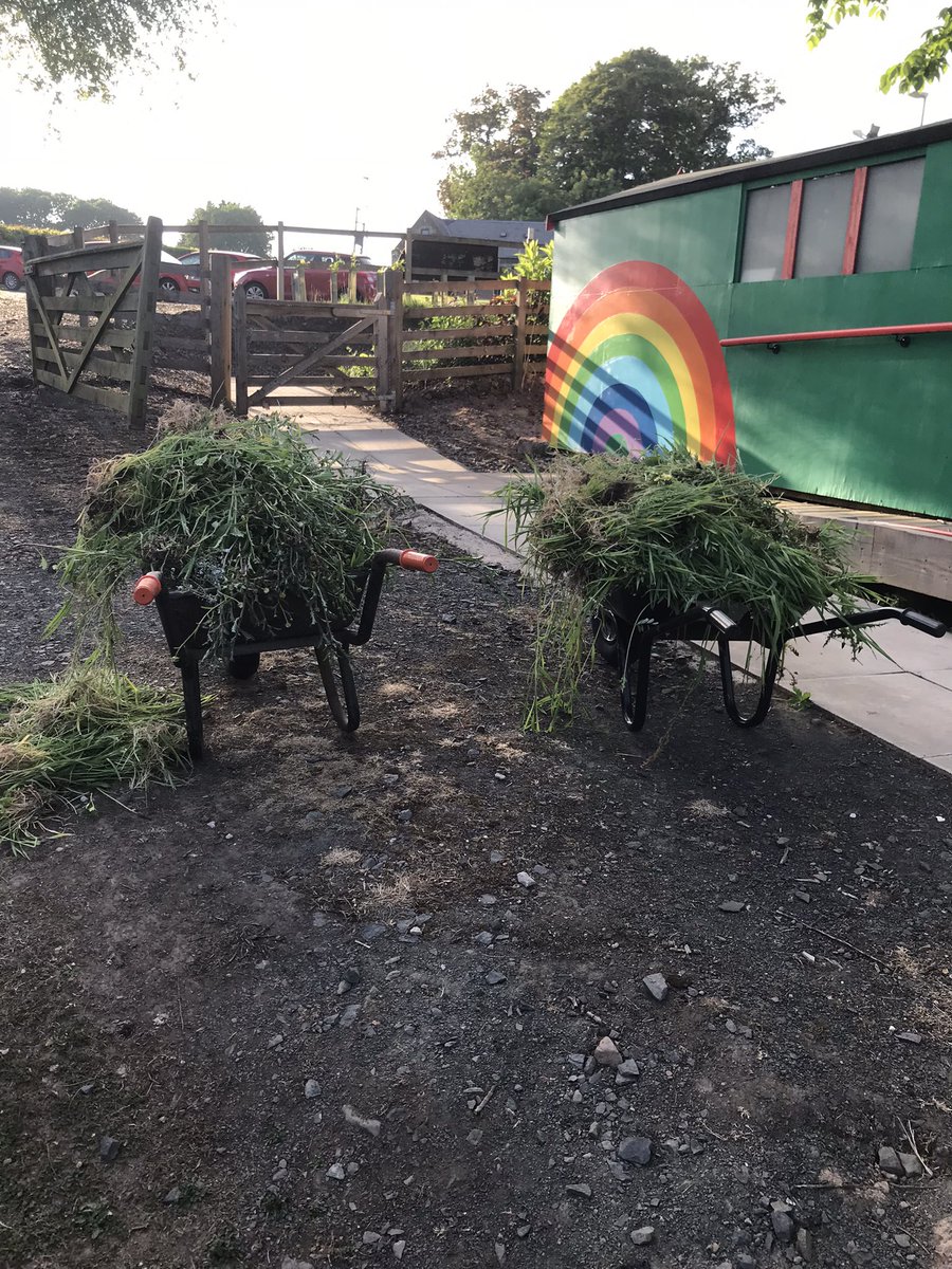 space to grow mental health growing project tweet media