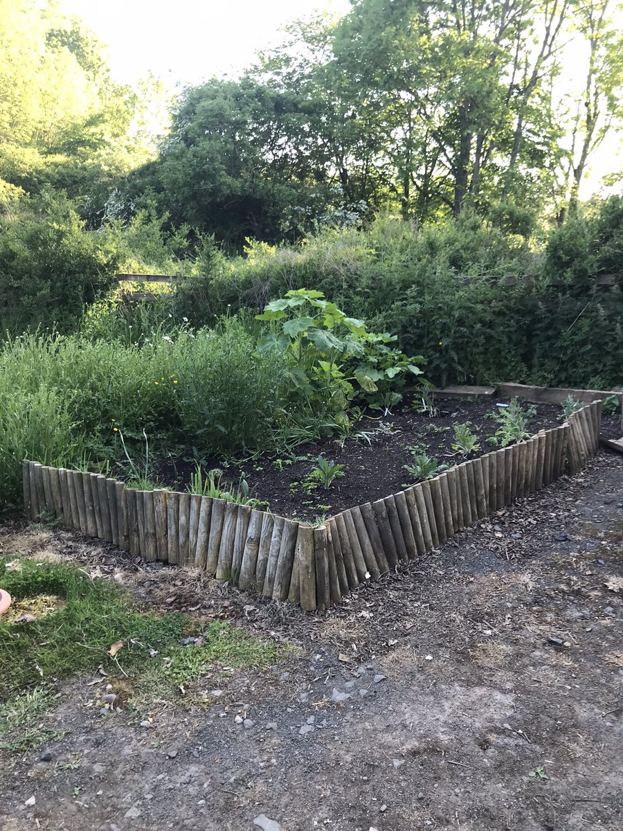 space to grow mental health growing project tweet media