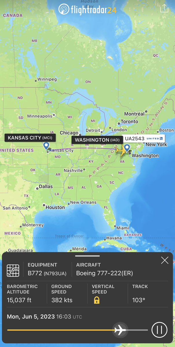 Donise Mitchell tweet media