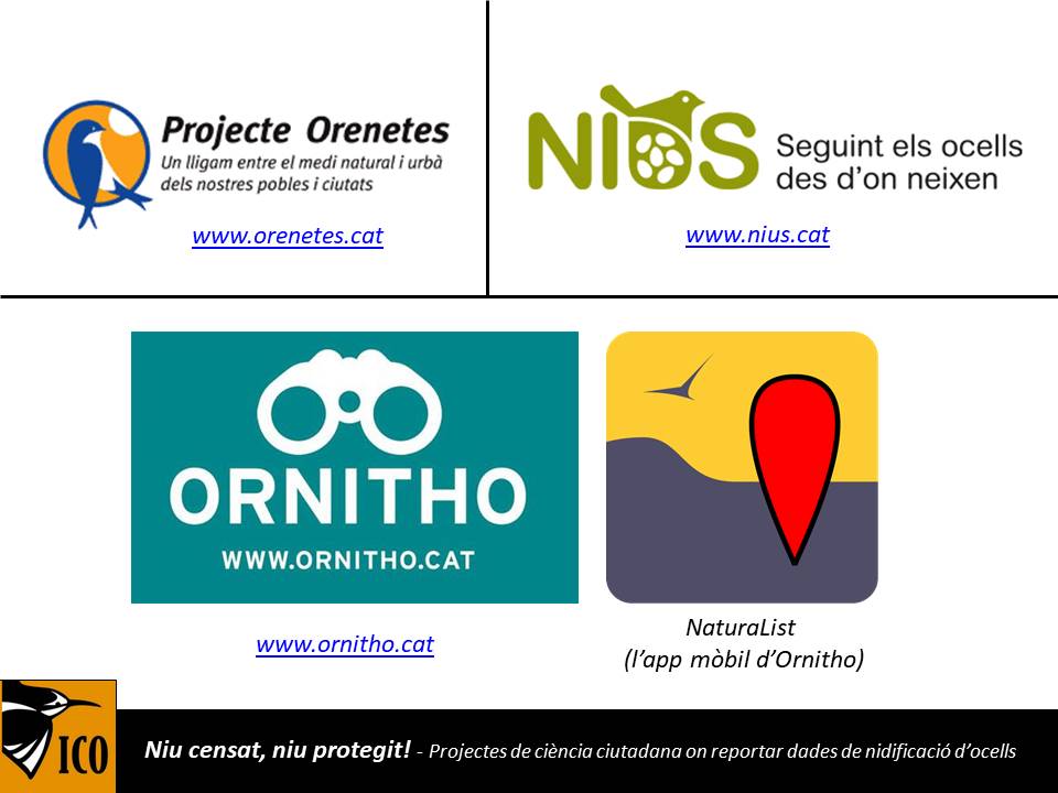 ICOcells's tweet photo. En plena temporada de nidificació🐣, recordem les diferents maneres de registrar les observacions als nostres portals de #ciènciaciutadana. Niu censat, niu protegit! Enllaç a la notícia a #ornithocat 👉 https://t.co/kMsHhKmHPZ https://t.co/iaNOPZOzYN