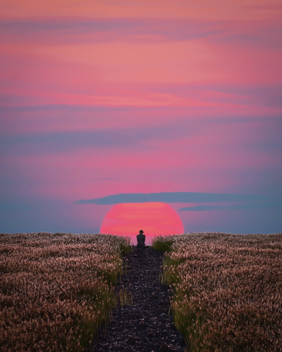 outrunyouth tweet media