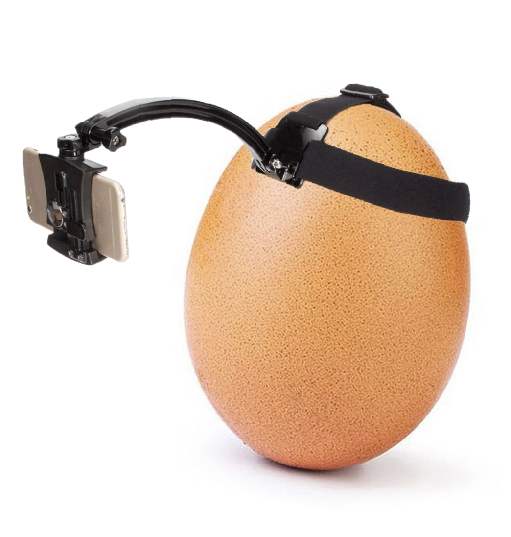 worldrecordegg's tweet photo. when you find out it's $3499 https://t.co/O822jjd1c2