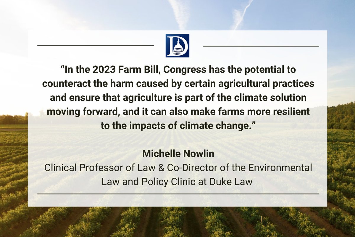 Duke in DC tweet media