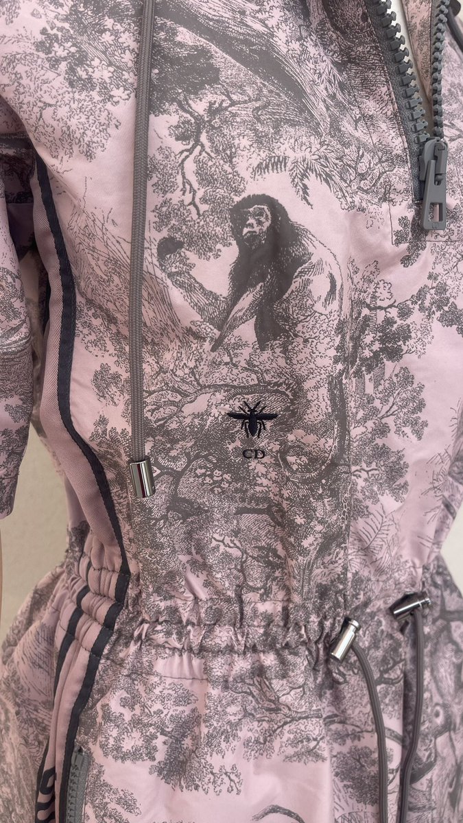 LadyRocketSpace's tweet photo. Bees?! @Dior !? Space!? Bees as the #SpaceAsset to Save them?!
From Beverly Hills Hotel and #Dior @LadyRocketSpace @CopernicSpace and @Spaceibles #BeeOrNotToBe! Also as NFTs?
Dior monogram - Bee! Engaging Sponsors for #MoonBees Passport! From https://t.co/tkAI7MCpYu https://t.co/bCmIKwxZbi