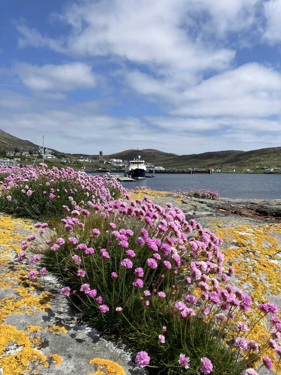 ButhBharraigh's tweet photo. Our share of the profits from the Marina will be reinvested the #Barra and #Vatersay #VisitorInformation Service thus supporting employment, boosting the local economy, and directing customers to other local businesses through the islands. https://t.co/ExqGDrg26Z