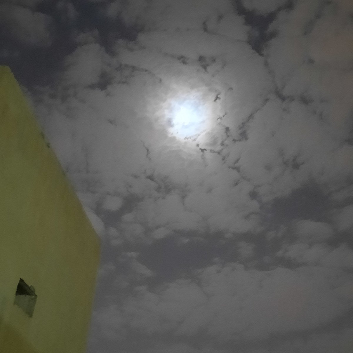 AL_Maha_y_'s tweet photo. @iih4u 🏃‍♀️🏃‍♀️ https://t.co/Xt70Ho3lq4