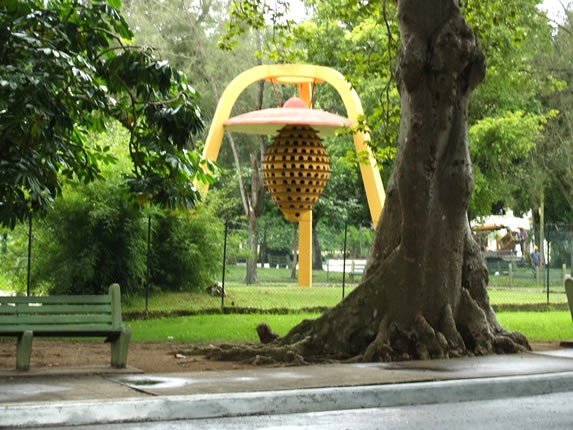 Yadirarcmg's tweet photo. Parque Casino Campestre, nada mejor que este espacio natural para acercarnos a la flora y fauna que allí habitan. #DíaMundialDelMedioAmbiente @aliciarca @pedroacm https://t.co/m58Dr7KxjC