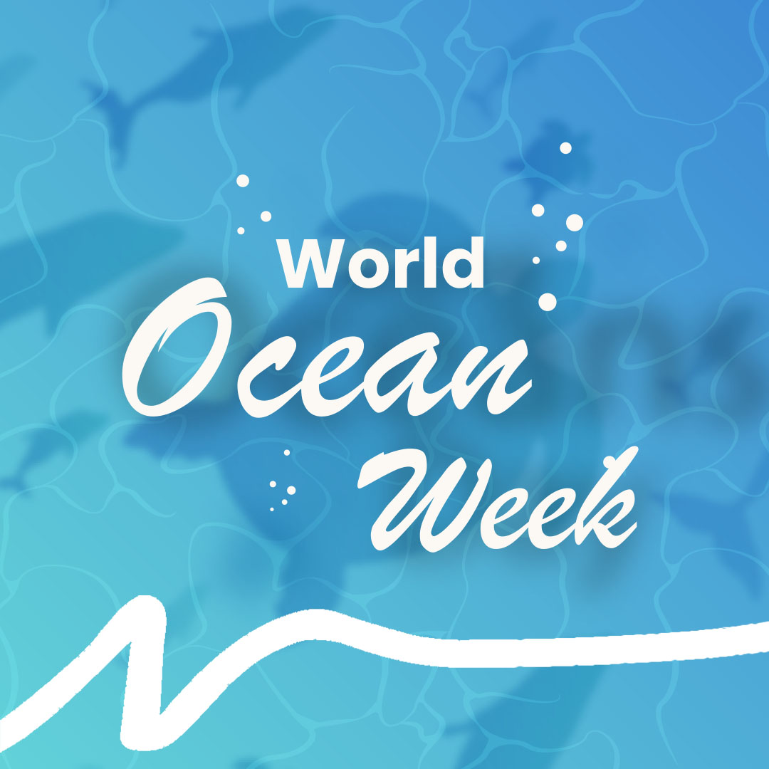 Its #OceanWeek! What better way to start than by reminding ourselves the importance of our oceans and the challenges they currently face. Keep an eye out for more ocean related content throughout the week!

#ProtectTheOcean #KeepTheOceanInTheRoom #SaveTheOcean #OneOcean