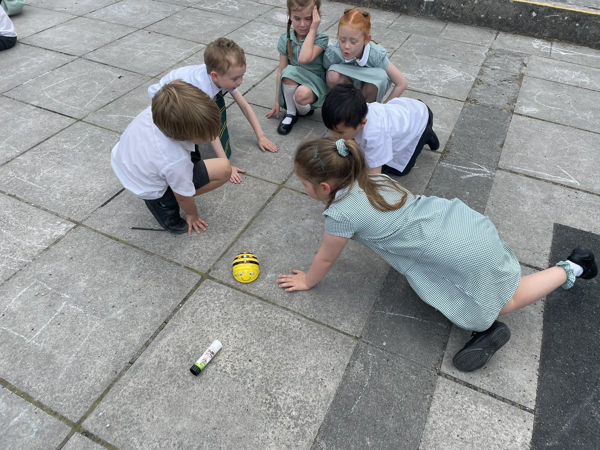 WideyCherry tweet media