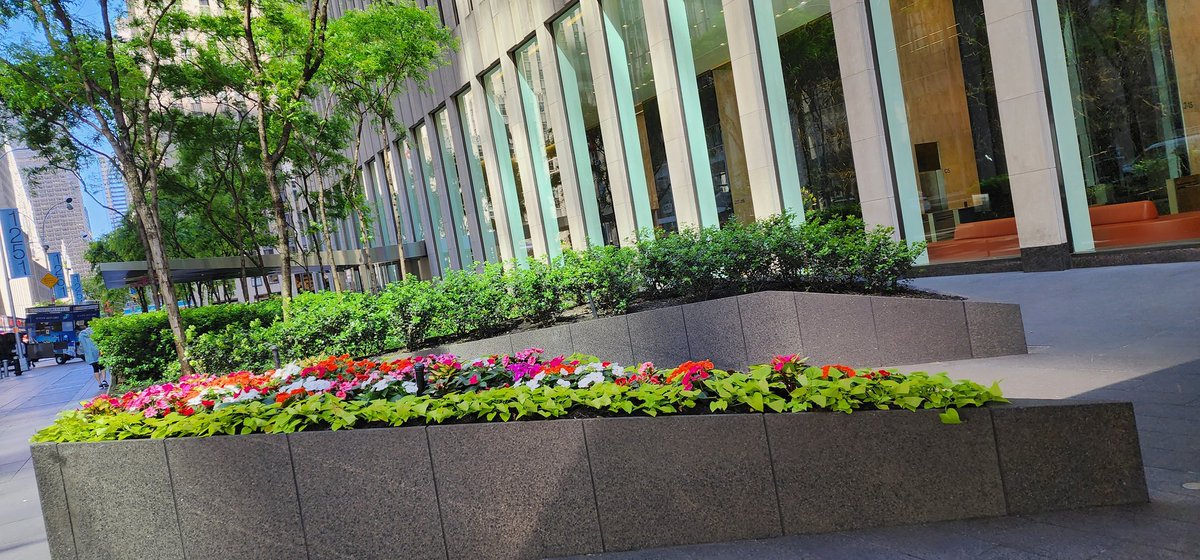 Colorful flowering plants 💐 
#impatiens #coleus #petunias #iponoea #flowers #plants #flowerphotography #fleurs #impatien #petunia #flowering #plant #flower #photos #photography #NYC #streetphotography