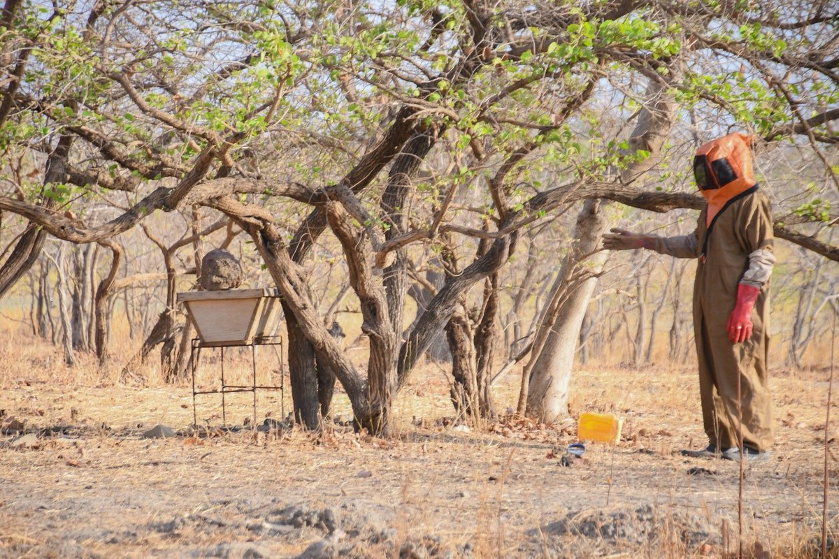 World Vision tweet media