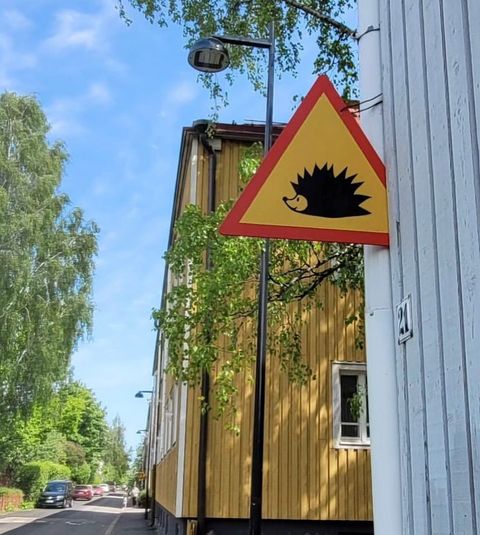 Āgenkalnā vajadzīga zīme "Eži", jo to te daudz un braucēji nav uzmanīgi. Caurbraucēji, kādu ir lielākā daļa, to pat nezin. Šodien ar' vienu sabrauktu pa ceļam redzēju. Ja nu tā ežu mamma, ko mazie ezēni mājās nesagaidīs un arī nomirs. <a href="/RigasDome/">Rīga</a> <a href="/Rigaattistas/">RĪGA ATTĪSTĀS</a> <a href="/VilnisKirsis/">Vilnis Ķirsis</a>