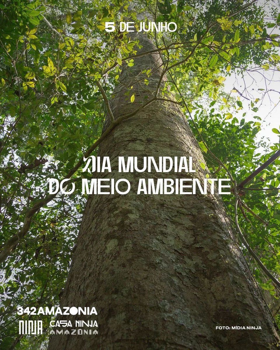 342 AMAZÔNIA 🌳 tweet media