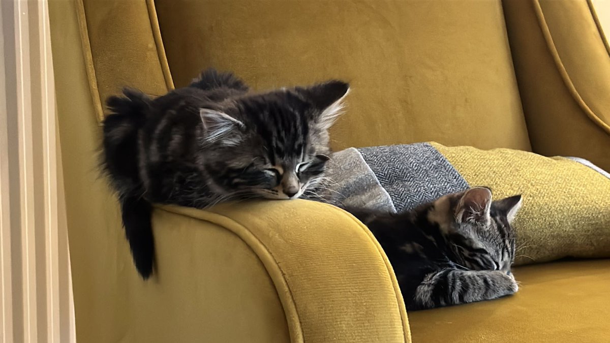 Lucy Buckham tweet media