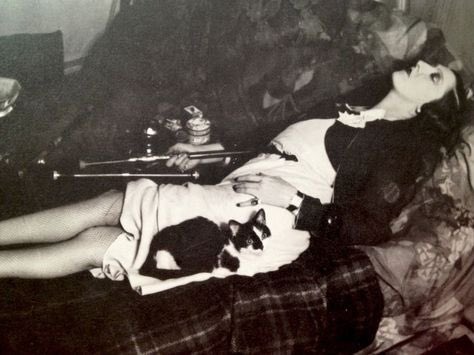 Kevin McCoy tweet media