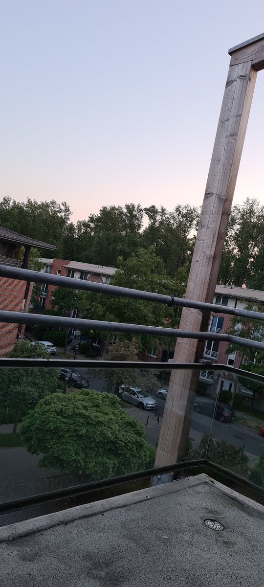 So ein bisschen werde ich meinen Balkon ja vermissen 🥹