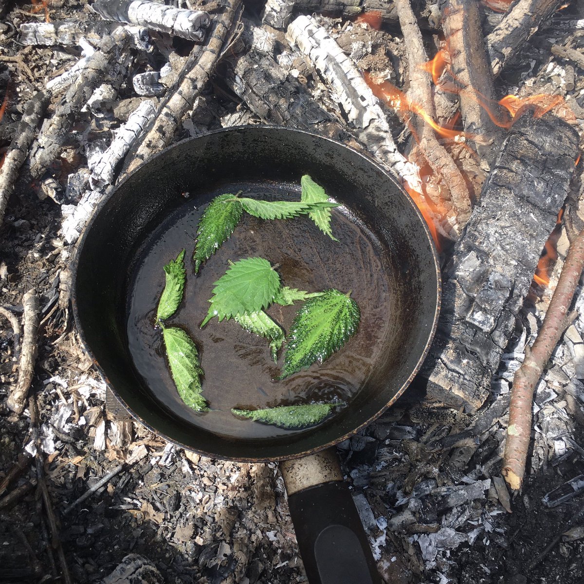 Emily Whiteley tweet media