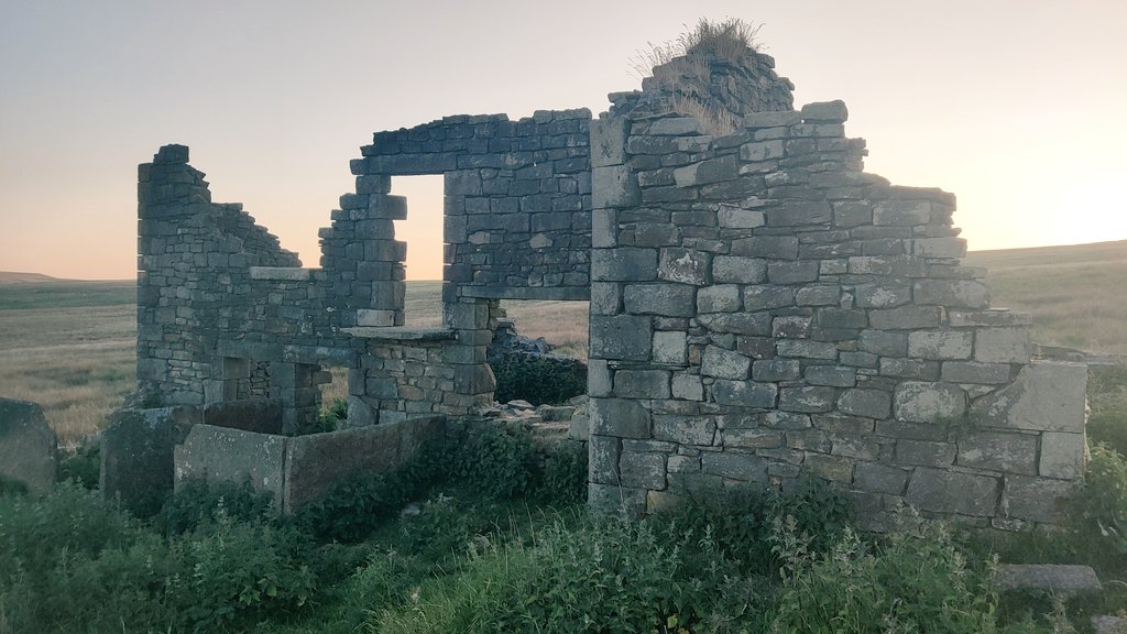 Just a small part of the isolated ruin of Rabbit Warren on Longworth Moor this evening, guarded by curlew and gropper.  Great spot.