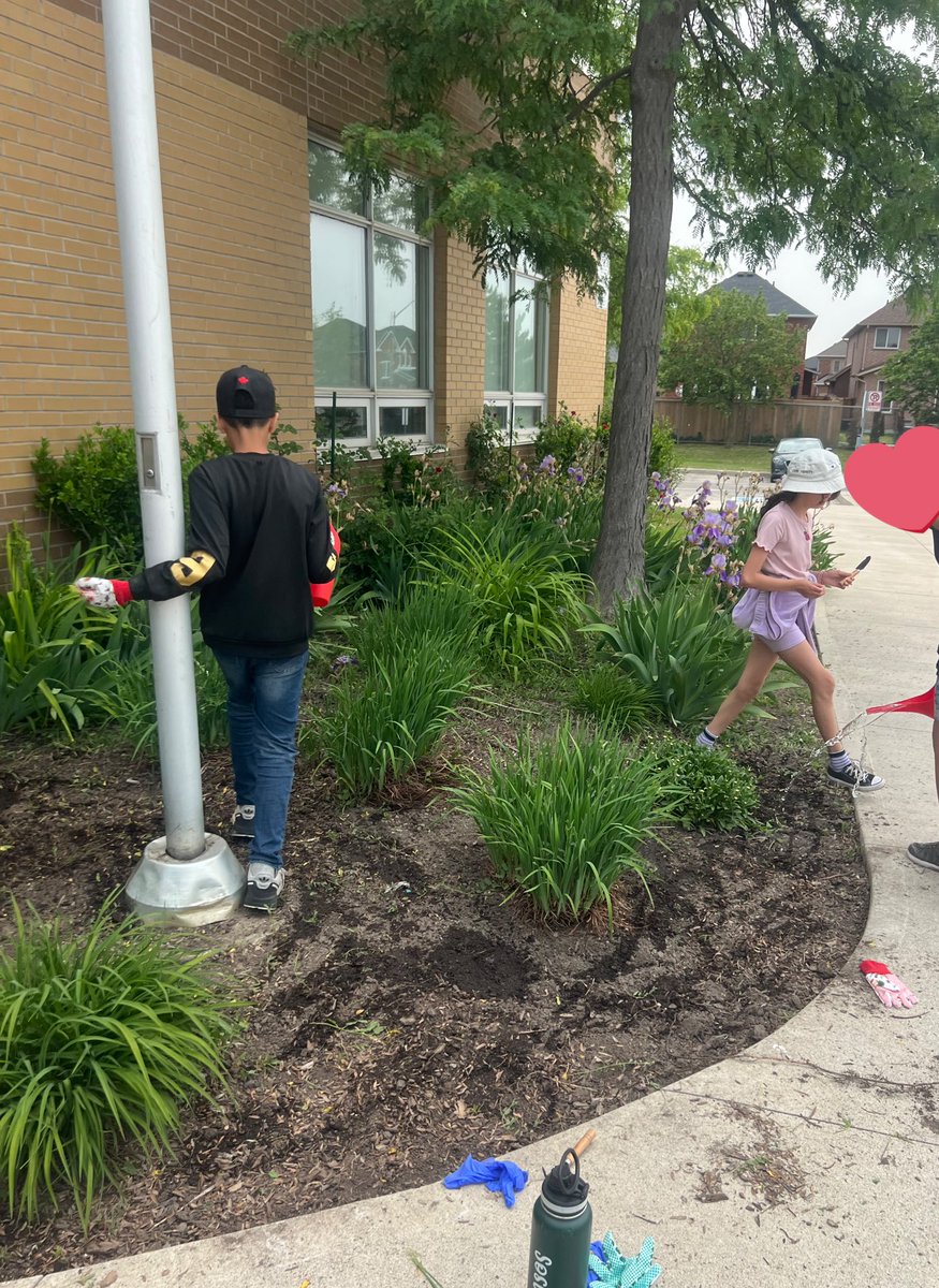 Planting our pollinator garden! <a href="/albert7185/">@albert_DPCDSB</a>
