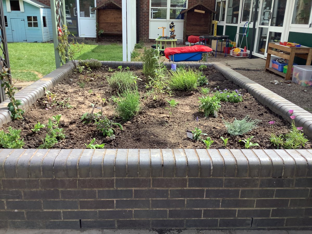 Meanwhile the Eco Leaders transformed an empty raised planter into a wildlife friendly oasis which was attracting bees even whilst we were working on it! @EcoSchools #WorldEnvironmentDay #bees #wildlife