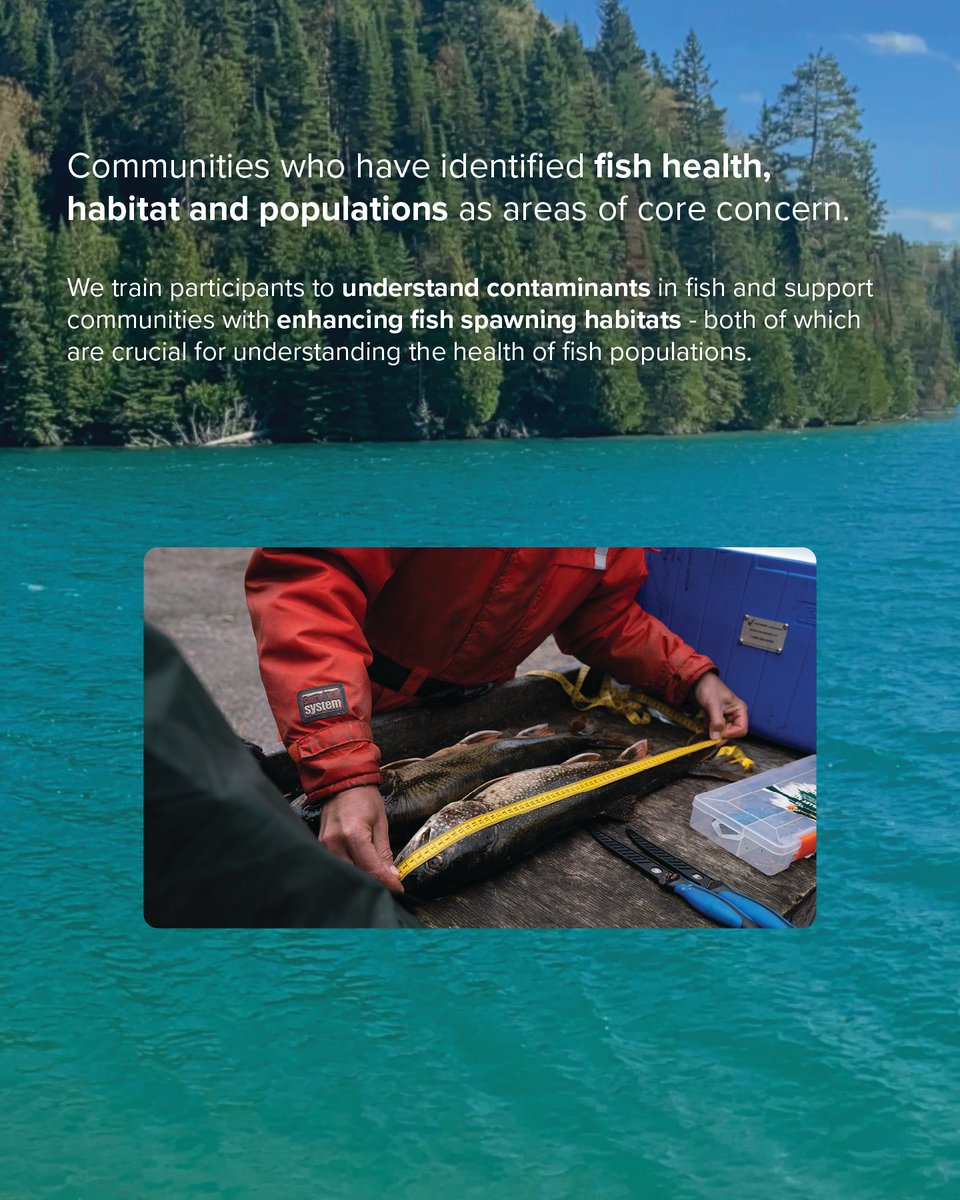 waterfirstngo's tweet photo. Happy #WorldEnvironmentDay! 🌿💙
Water First partners with Indigenous communities that have identified a need for training in #EnvironmentalWater topics. To learn more about our programs and the communities we collaborate with, head to https://t.co/XKYOiH0dJO https://t.co/EUZUO4ypC6