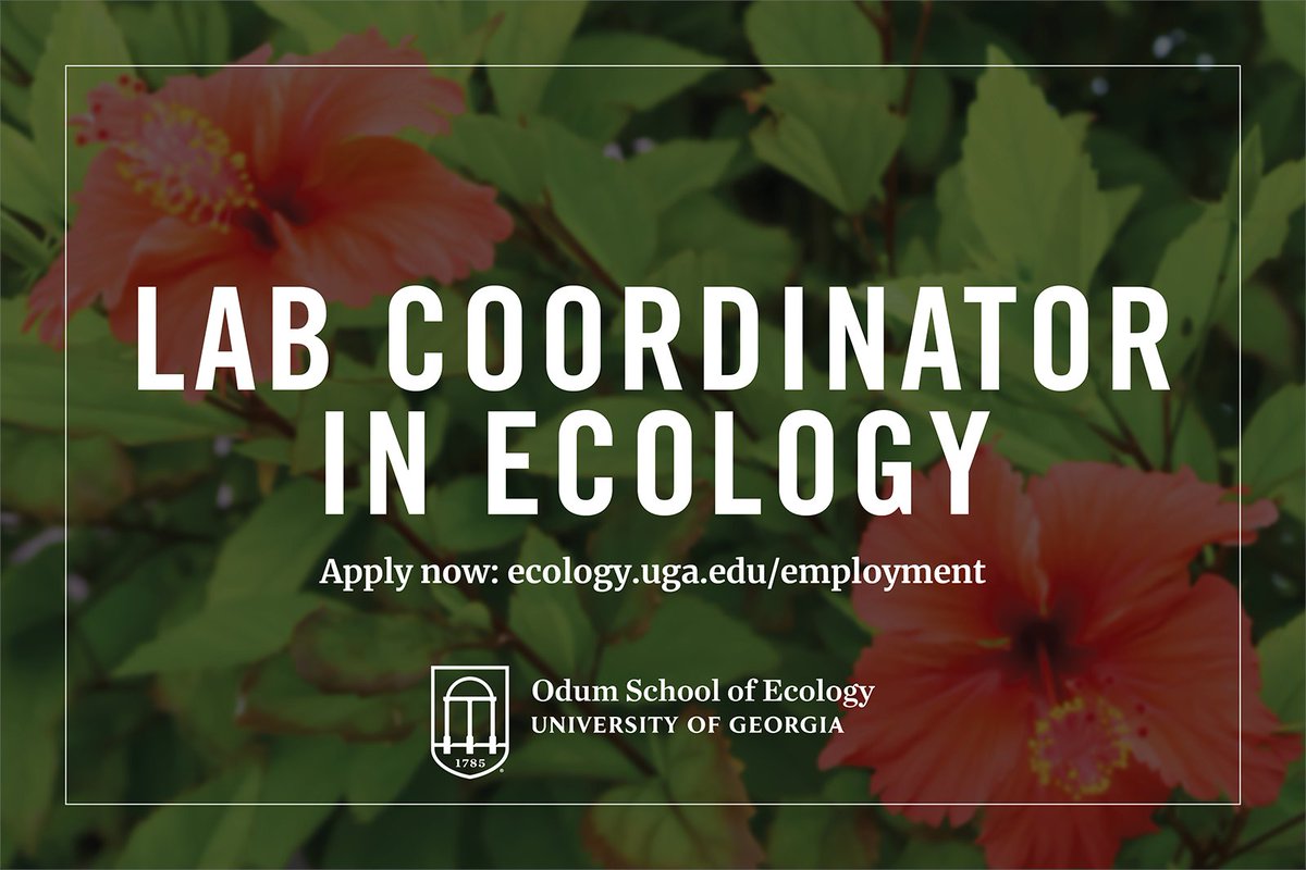 🌱 Join our team! 🌱 We're hiring a new Undergraduate Ecology Lab Coordinator to shape the curriculum, lead large-enrollment lab courses, and mentor graduate TAs.

💼 Full-time, 12-month, non-tenure track faculty.

Learn more: ugajobsearch.com/postings/318811

#ecojobs #facultyjobs