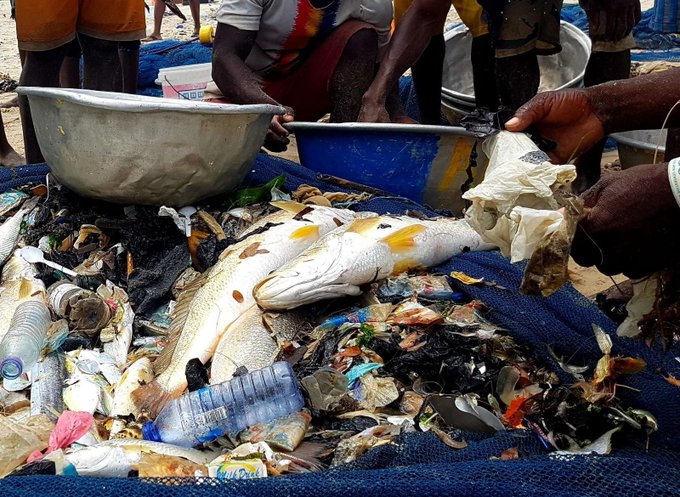 Global action is required to #BeatPlasticPollution Check out the actions proposed by the #EAFNansen Programme to reduce marine litter and improve the lives of #smallscalefisheries in the Gulf of Guinea👇 fao.org/in-action/eaf-…… #WorldEnvironmentDay #Sustainablefisheries